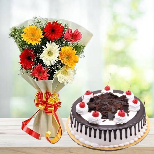 Mix 8 Gerbera Stylish Bouquet and Half Kg Black Forest Cake