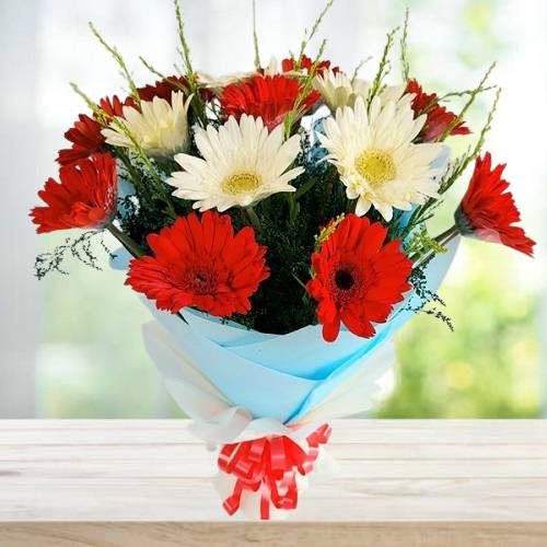 Mix Red and White Gerberas Bouquet