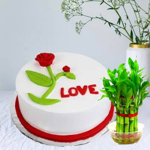 Delicious Vanilla Rose Love Cake With Lucky Bamboo Plant