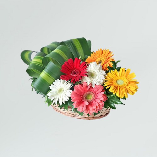 online buy now Mixed Gerberas Flower Arrangement Basket