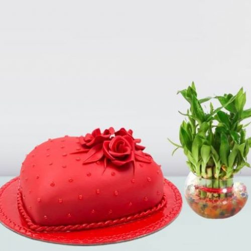 Cake-and-Plants-Combo