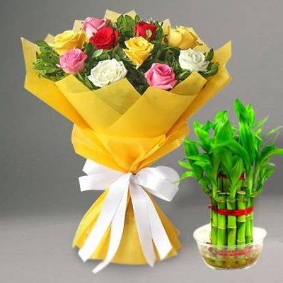 Buy Order Now flowers and plants combo